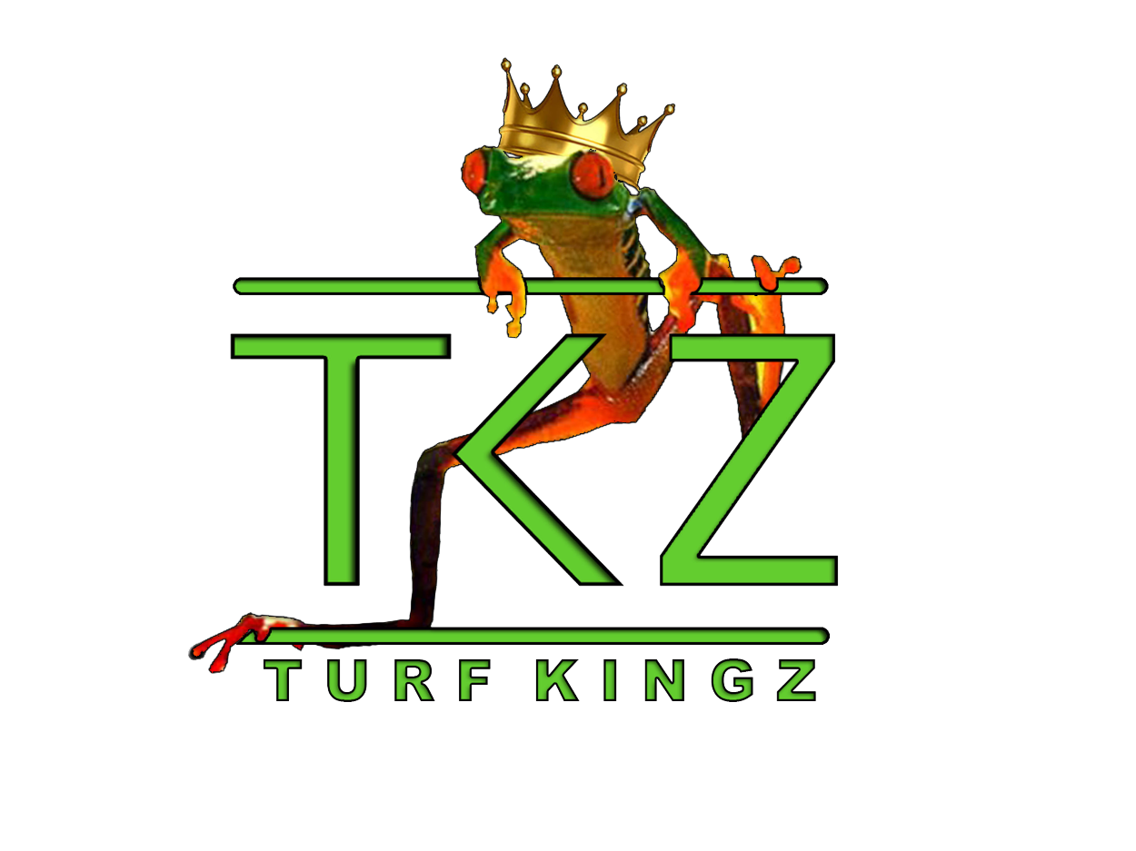TurfKingz Turf Remnants For Sale